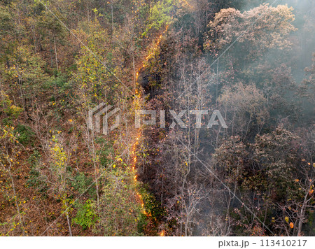 Forest fires release carbon dioxide and other greenhouse gasses, such as methane into the atmosphere. Carbon emissions come from deforestation. Forest fires release carbon dioxide and other greenhouse gasses, such as methane into the atmosphere. Carbon emissions come from deforestation. 113410217