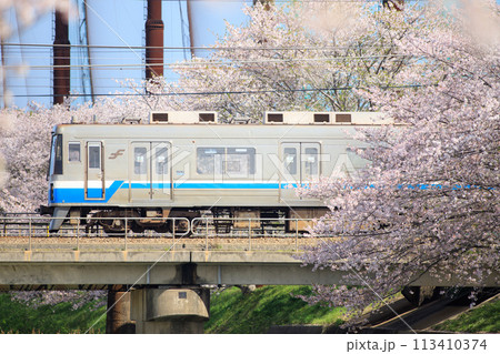 瑞梅寺川の桜と福岡市交通局1000系電車(福岡市営地下鉄) 瑞梅寺川の桜と福岡市交通局1000系電車(福岡市営地下鉄) 113410374