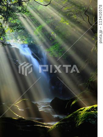 光さす夫婦滝（熊本県南小国町・縦構図） 113410378