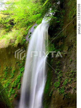 新緑の由布川渓谷(由布市・別府市・縦構図) 新緑の由布川渓谷(由布市・別府市・縦構図) 113410398