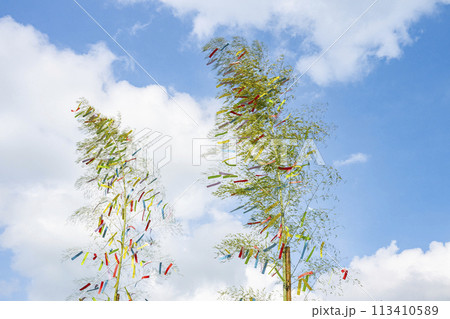 七夕　笹飾り 113410589