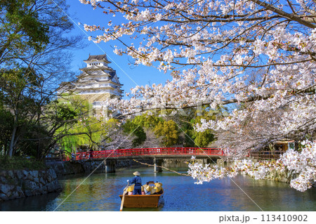 姫路城　桜 113410902