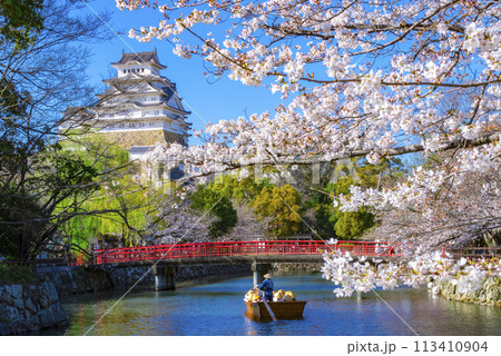 姫路城 桜 姫路城 桜 113410904