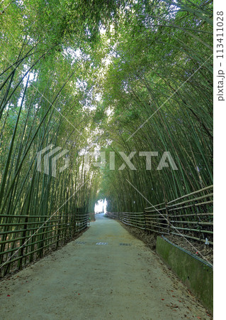 景色 風景 自然 113411028