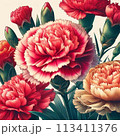 赤いカーネーションの花束 113411376