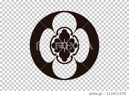 Stone-bearing ground-pulled quince, Hotta family quince Stone-bearing ground-pulled quince, Hotta family quince 113411379