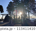 鳥居から照らされた朝日 113411410