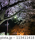 ライトアップされた夜桜 113411418