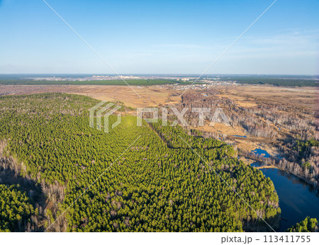 Aerial drone view of stunning colorful autumn fall forest. 113411755