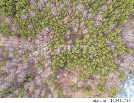 Aerial drone view of stunning colorful autumn fall forest. Aerial drone view of stunning colorful autumn fall forest. 113411788