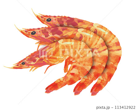 車海老（赤）3尾 113412922