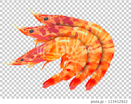 車海老（赤）3尾 113412922