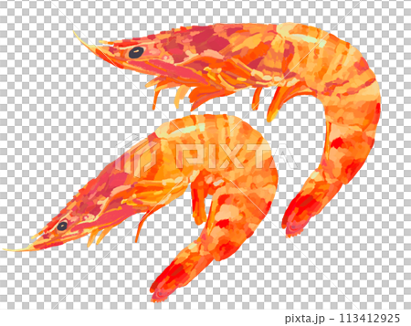 車海老（赤）2尾 113412925