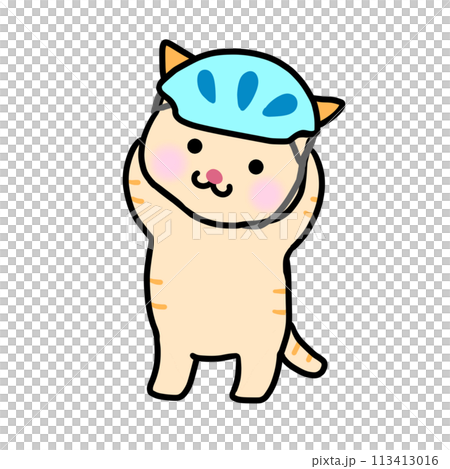 一隻面向前方站立的貓即將戴上藍色頭盔 一隻面向前方站立的貓即將戴上藍色頭盔 113413016
