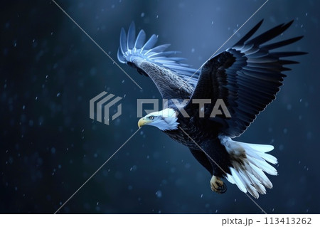 Majestic eagle: a captivating showcase of nature's prowess, bird , perched majestically, and embodying the spirit of freedom and untamed wilderness, a stunning visual ode to avian grace and power 113413262