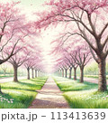 桜並木が続く小道 113413639