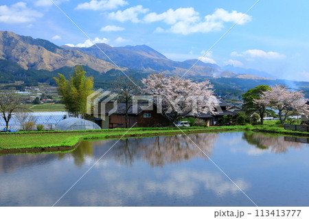南阿蘇村 阿蘇連山と水田に映る桜 南阿蘇村 阿蘇連山と水田に映る桜 113413777