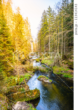 The Kamenice River meanders through a verdant gorge bathed in sunlight in Bohemian Switzerland National Park. Czechia 113414143
