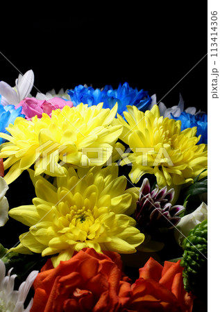Bouquet of multicolored chrysanthemums and roses in dark with light from above vertical background  113414306