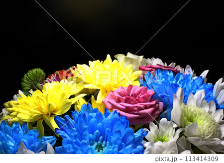 Bouquet Of Colorful Flowers In Darkness Detailed Side View Photo Bouquet Of Colorful Flowers In Darkness Detailed Side View Photo 113414309