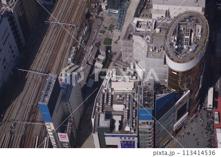 高台から渋谷を望む 113414536