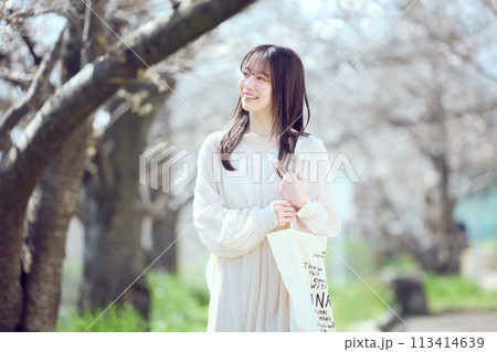 桜並木の河川敷を歩く女性 113414639