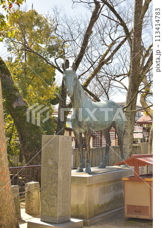 石切神社 石切神社 113414783