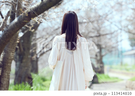 桜並木の河川敷を歩く女性 桜並木の河川敷を歩く女性 113414810