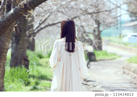 桜並木の河川敷を歩く女性 113414813
