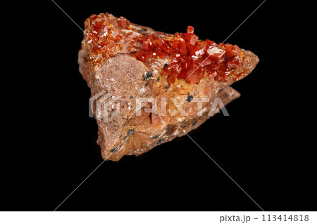 Macro mineral stone Vanadinite on a black background 113414818