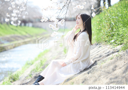 桜の下で花見をする女性 113414944