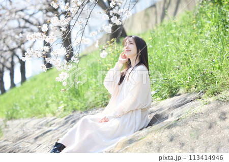 桜の下で花見をする女性 桜の下で花見をする女性 113414946
