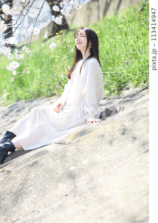 桜の下で花見をする女性 113414947