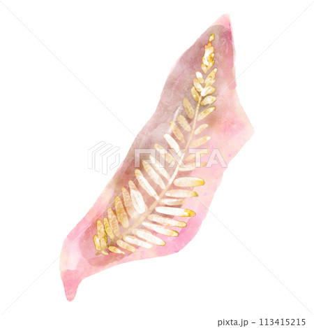 Fossil of plant in rock . Watercolor paint design . Vector . 113415215