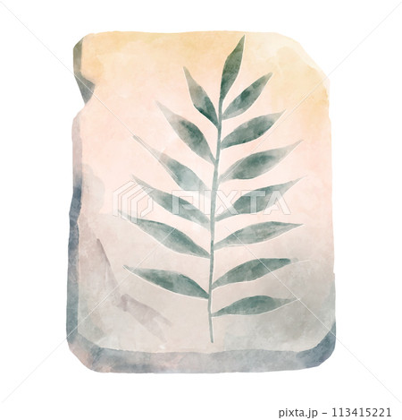Fossil of plant in rock . Watercolor paint design . Vector . 113415221