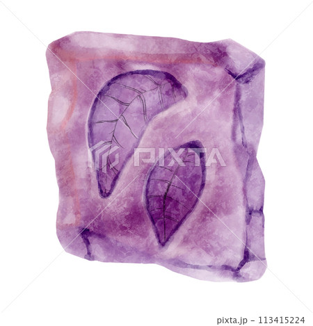 Fossil of plant in rock . Watercolor paint design . Vector . 113415224