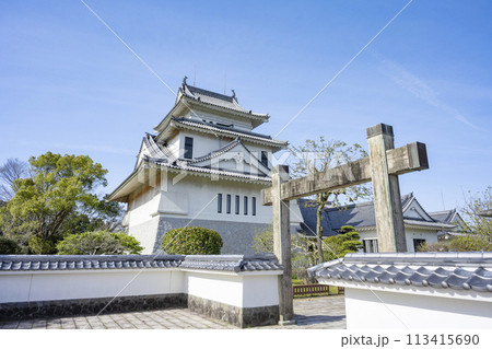 宮崎市高岡町天ヶ城の春 宮崎市高岡町天ヶ城の春 113415690