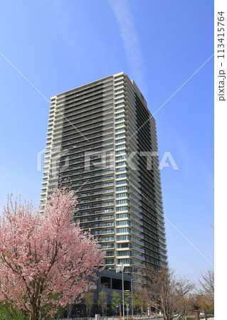 葛飾にいじゅくみらい公園から見た「シティタワー金町」 113415764