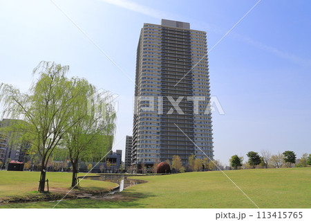 葛飾にいじゅくみらい公園から見た「シティタワー金町」 113415765