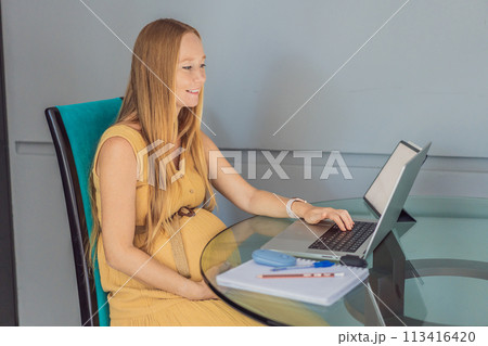 Beautiful pregnant woman working on laptop. Young businesswoman working in her office Beautiful pregnant woman working on laptop. Young businesswoman working in her office 113416420