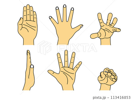 いろいろなポーズの手のイラスト 113416853