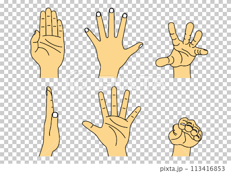いろいろなポーズの手のイラスト 113416853