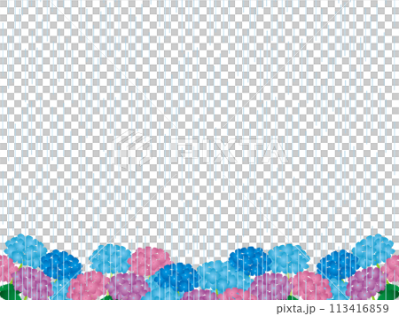 Hydrangea, Rain 3 113416859