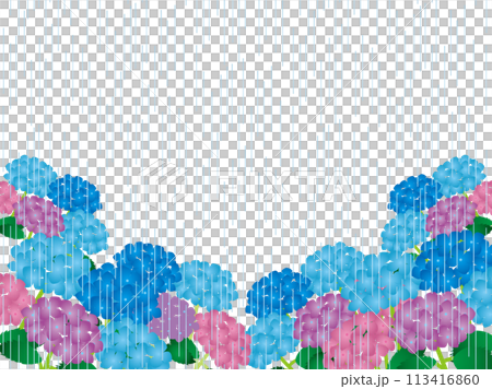 Hydrangea, Rain 4 Hydrangea, Rain 4 113416860