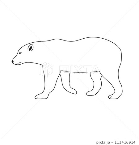 Vector flat hand drawn outline polar bear 113416914