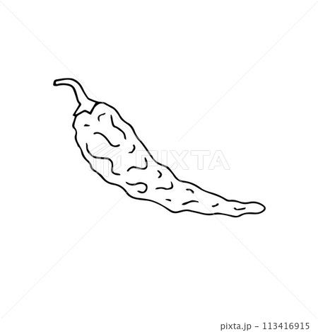 Vector hand drawn doodle sketch dried chili pepper 113416915