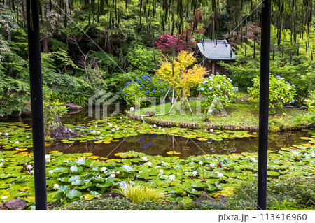 千葉県 本土寺の風景 千葉県 本土寺の風景 113416960