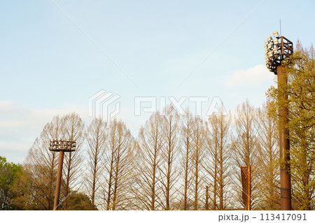 グラウンドのナイター塔と枯れ木と空 113417091