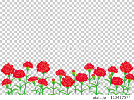 Mother's Day vector illustration with lots of red carnations 113417574