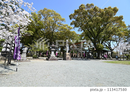 春の神社の広場 春の神社の広場 113417580